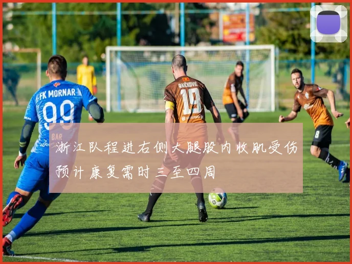 浙江队程进右侧大腿股内收肌受伤预计康复需时三至四周